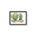 Picture of Splashed Cactus I  _GroupedProduct_Rectangle_Landscape_Canvas_Framed_