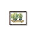 Picture of Splashed Cactus I  _GroupedProduct_Rectangle_Landscape_Canvas_Framed_