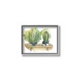 Picture of Splashed Cactus I  _GroupedProduct_Rectangle_Landscape_Canvas_Framed_