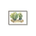 Picture of Splashed Cactus I  _GroupedProduct_Rectangle_Landscape_Canvas_Framed_