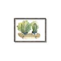 Picture of Splashed Cactus I  _GroupedProduct_Rectangle_Landscape_Canvas_Framed_