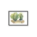 Picture of Splashed Cactus I  _GroupedProduct_Rectangle_Landscape_Canvas_Framed_