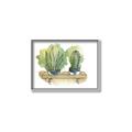 Picture of Splashed Cactus I  _GroupedProduct_Rectangle_Landscape_Canvas_Framed_