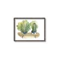 Picture of Splashed Cactus I  _GroupedProduct_Rectangle_Landscape_Canvas_Framed_