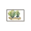Picture of Splashed Cactus I  _GroupedProduct_Rectangle_Landscape_Canvas_Framed_
