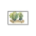 Picture of Splashed Cactus I  _GroupedProduct_Rectangle_Landscape_Canvas_Framed_