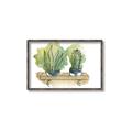 Picture of Splashed Cactus I  _GroupedProduct_Rectangle_Landscape_Canvas_Framed_