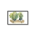 Picture of Splashed Cactus I  _GroupedProduct_Rectangle_Landscape_Canvas_Framed_