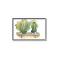 Picture of Splashed Cactus I  _GroupedProduct_Rectangle_Landscape_Canvas_Framed_