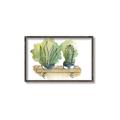 Picture of Splashed Cactus I  _GroupedProduct_Rectangle_Landscape_Canvas_Framed_