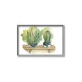Picture of Splashed Cactus I  _GroupedProduct_Rectangle_Landscape_Canvas_Framed_