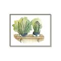 Picture of Splashed Cactus I  _GroupedProduct_Rectangle_Landscape_Canvas_Framed_