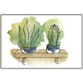 Picture of Splashed Cactus I  _GroupedProduct_Rectangle_Landscape_Canvas_Framed_