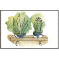 Picture of Splashed Cactus I  _GroupedProduct_Rectangle_Landscape_Canvas_Framed_