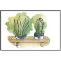 Picture of Splashed Cactus I  _GroupedProduct_Rectangle_Landscape_Canvas_Framed_