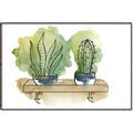 Picture of Splashed Cactus I  _GroupedProduct_Rectangle_Landscape_Canvas_Framed_