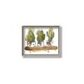 Picture of Splashed Cactus II  _GroupedProduct_Rectangle_Landscape_Canvas_Framed_