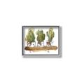 Picture of Splashed Cactus II  _GroupedProduct_Rectangle_Landscape_Canvas_Framed_