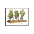 Picture of Splashed Cactus II  _GroupedProduct_Rectangle_Landscape_Canvas_Framed_