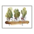 Picture of Splashed Cactus II  _GroupedProduct_Rectangle_Landscape_Canvas_Framed_