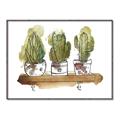 Picture of Splashed Cactus II  _GroupedProduct_Rectangle_Landscape_Canvas_Framed_