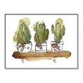 Picture of Splashed Cactus II  _GroupedProduct_Rectangle_Landscape_Canvas_Framed_