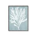 Picture of Coral Leaves II _GroupedProduct_Rectangle_Portrait_Canvas_Framed_