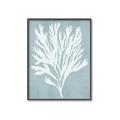 Picture of Coral Leaves II _GroupedProduct_Rectangle_Portrait_Canvas_Framed_