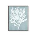 Picture of Coral Leaves II _GroupedProduct_Rectangle_Portrait_Canvas_Framed_