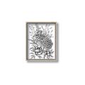 Picture of Sketched Flower II  _GroupedProduct_Rectangle_Portrait_Canvas_Framed_