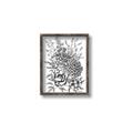 Picture of Sketched Flower II  _GroupedProduct_Rectangle_Portrait_Canvas_Framed_