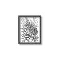 Picture of Sketched Flower II  _GroupedProduct_Rectangle_Portrait_Canvas_Framed_