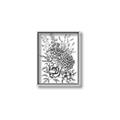 Picture of Sketched Flower II  _GroupedProduct_Rectangle_Portrait_Canvas_Framed_
