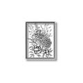 Picture of Sketched Flower II  _GroupedProduct_Rectangle_Portrait_Canvas_Framed_