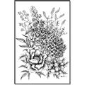 Picture of Sketched Flower II  _GroupedProduct_Rectangle_Portrait_Canvas_Framed_