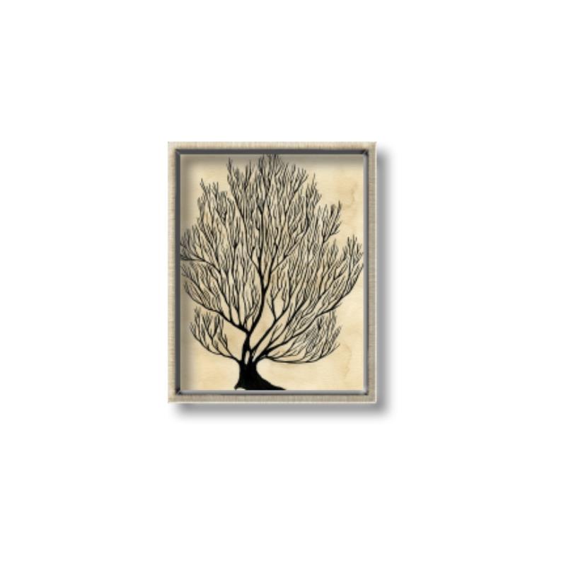 Picture of Neutral Coral I  _GroupedProduct_Rectangle_Portrait_Canvas_Framed_