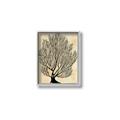 Picture of Neutral Coral I  _GroupedProduct_Rectangle_Portrait_Canvas_Framed_