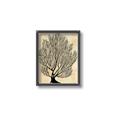Picture of Neutral Coral I  _GroupedProduct_Rectangle_Portrait_Canvas_Framed_