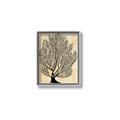 Picture of Neutral Coral I  _GroupedProduct_Rectangle_Portrait_Canvas_Framed_