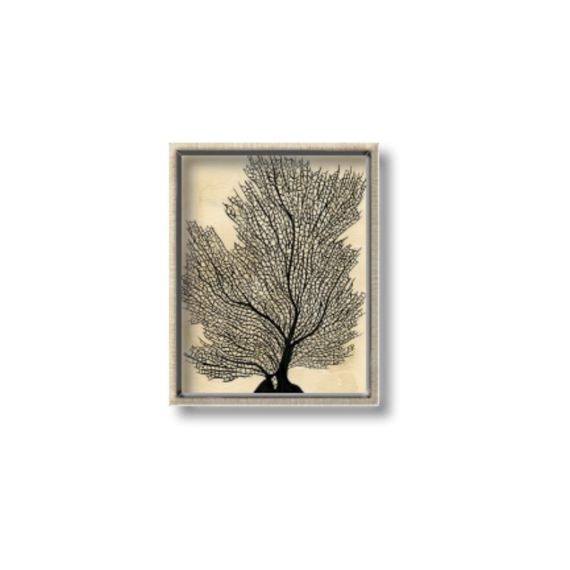 Picture of Neutral Coral II  _GroupedProduct_Rectangle_Portrait_Canvas_Framed_
