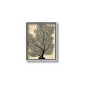 Picture of Neutral Coral II  _GroupedProduct_Rectangle_Portrait_Canvas_Framed_