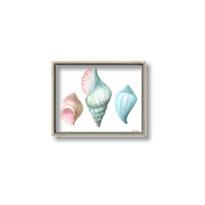 Picture of Seashells I  _GroupedProduct_Rectangle_Landscape_Canvas_Framed_