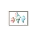 Picture of Seashells I  _GroupedProduct_Rectangle_Landscape_Canvas_Framed_