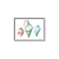 Picture of Seashells I  _GroupedProduct_Rectangle_Landscape_Canvas_Framed_