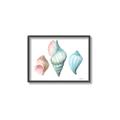 Picture of Seashells I  _GroupedProduct_Rectangle_Landscape_Canvas_Framed_