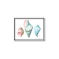 Picture of Seashells I  _GroupedProduct_Rectangle_Landscape_Canvas_Framed_