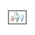Picture of Seashells I  _GroupedProduct_Rectangle_Landscape_Canvas_Framed_
