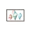 Picture of Seashells I  _GroupedProduct_Rectangle_Landscape_Canvas_Framed_