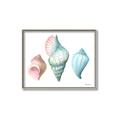 Picture of Seashells I  _GroupedProduct_Rectangle_Landscape_Canvas_Framed_