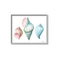 Picture of Seashells I  _GroupedProduct_Rectangle_Landscape_Canvas_Framed_